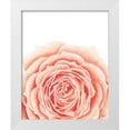 thumbnail image 1 of Fay, Mela 20x24 White Modern Wood Framed Museum Art Print Titled - Light Orange Rose, 1 of 4