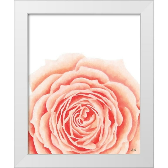 Fay, Mela 20x24 White Modern Wood Framed Museum Art Print Titled - Light Orange Rose