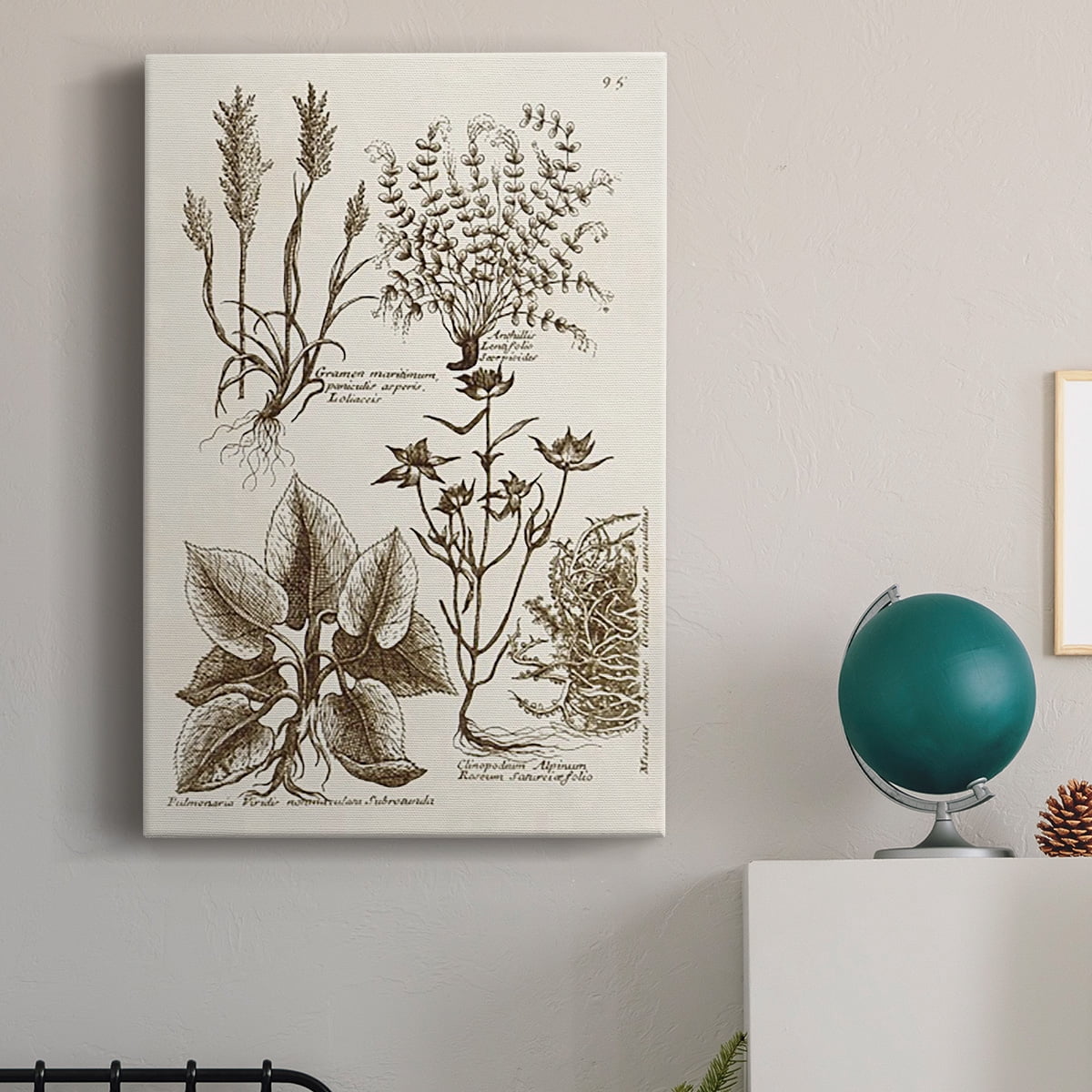 Sepia Botanical Journal VII Premium Gallery Wrapped Canvas - Ready to Hang