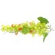 thumbnail image 3 of Uva artificial simulación fruta fotografía instantánea uva falsa boceto práctica utilería, verde sidaley HA8461-02B, 3 of 6