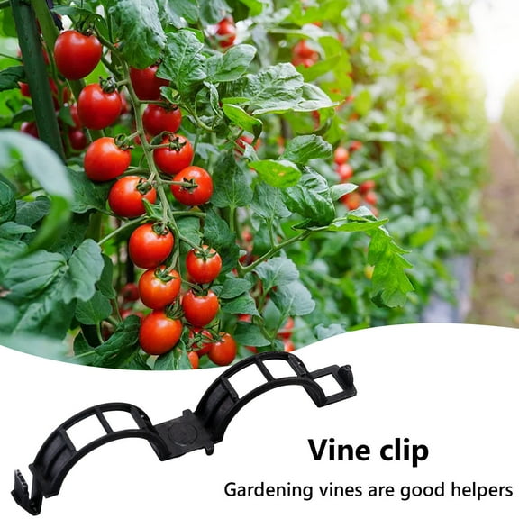 Fixing Clip Fixed Plant Clips for Tomatoes and Vines 250pcs Plastic Garden Support Clips for Vegetable Growth JASKFLY