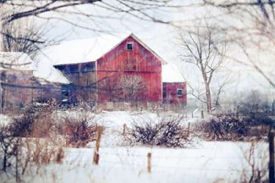 Winter Barn Canvas