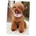 thumbnail image 2 of Collar de perro Perla Encaje PU Collar para mascotas Gargantilla de cachorro Collar de S Sunnimix  Collar para perro, 2 of 8