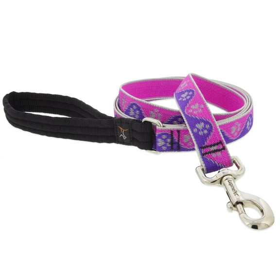 Lupine Reflective Dog Leash 4-Foot by 1" Wide Pink Paws
