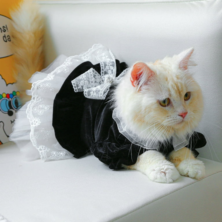 cat costume black dress Amazon.com: UNDERWRAPS Women's Hooded Black Cat Costume