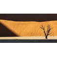 thumbnail image 2 of Kaveney, Wendy 24x14 Gold Ornate Wood Framed with Double Matting Museum Art Print Titled - Namibia, Dead Vlei Dead tree illuminated by sun, 2 of 4