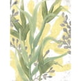 thumbnail image 3 of Vess, June Erica 15x18 Black Modern Framed Museum Art Print Titled - Sea Grass Fresco II, 3 of 5
