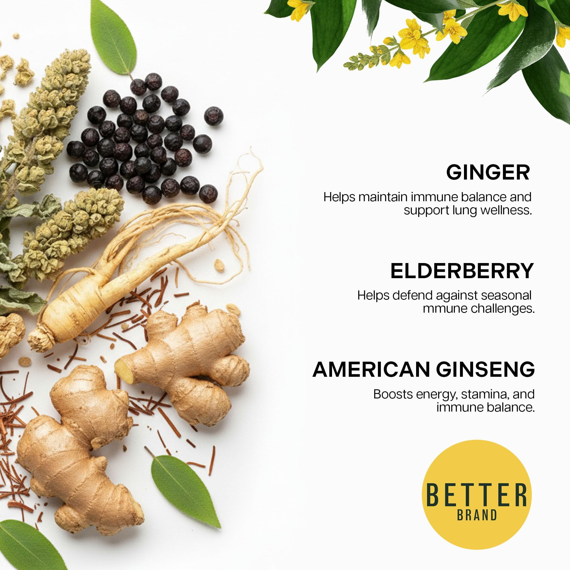 Betterbrand Mullein Tea Bags for Lung Detox - Respiratory Support with Thyme, Elderberry, Ginseng, Ginger, Caffeine Free Herbal Blend - 15 Tea Bags (Pack of 6)