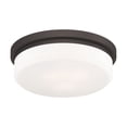 thumbnail image 3 of Livex Lighting Ceiling Mount or Wall Mount, 3 of 11