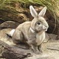thumbnail image 4 of Hand Puppet Folkmanis Cottontail Rabbit Brown para niños, 4 of 4