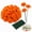 Orange, variant on Artificial Marigold Flowers 60pcs Marigold Flower Heads with Stems Bulk for Indian Wedding,Diwali,Day of The Dead Halloween Decor(Orange)