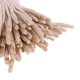 thumbnail image 5 of Paquete de 200 sujetadores perfecl con pasador PE para atar artículos de 20 cm beige, 5 of 8