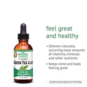 Botanic Choice Green Tea Extract Liquid, Gluten Free Herbal Supplements - 1 Fl. Oz