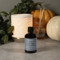 Better Homes & Gardens Fragrance Oil, Teal Pumpkin & Vines, 5 fl oz