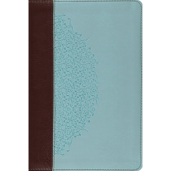 Pre-Owned Study Bible-ESV-Ivy Design (Paperback) 1433531569 9781433531569