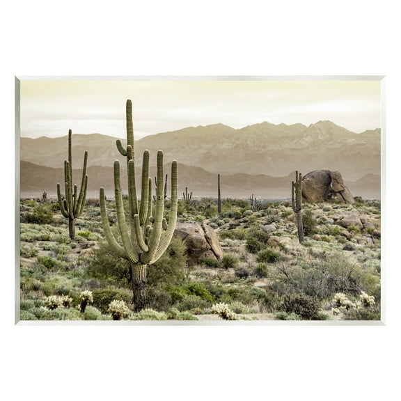 Stupell Industries Rocky Desert Landscape Landscape Photography Unframed Art Print Wall Art, 15 x 10