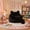 Black, variant on Jivora 41.7" Teddy Bear Bean Bag Chair, Fluffy Faux Fur Lazy Lounge Chair for Adults