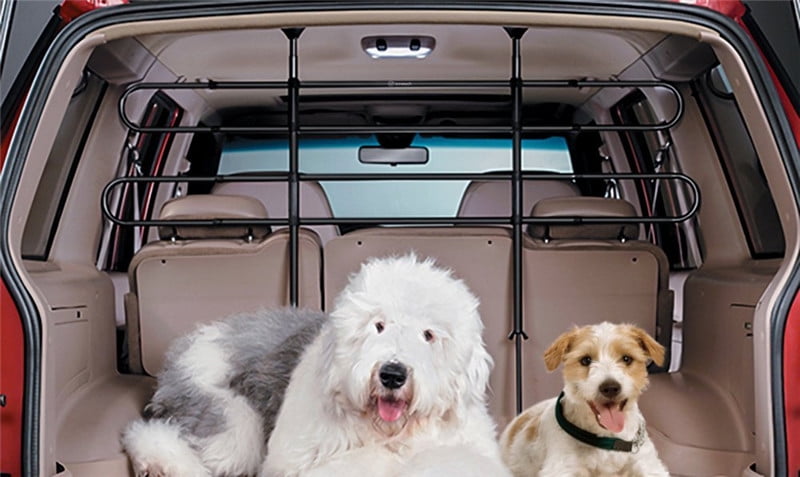 dog travel guard