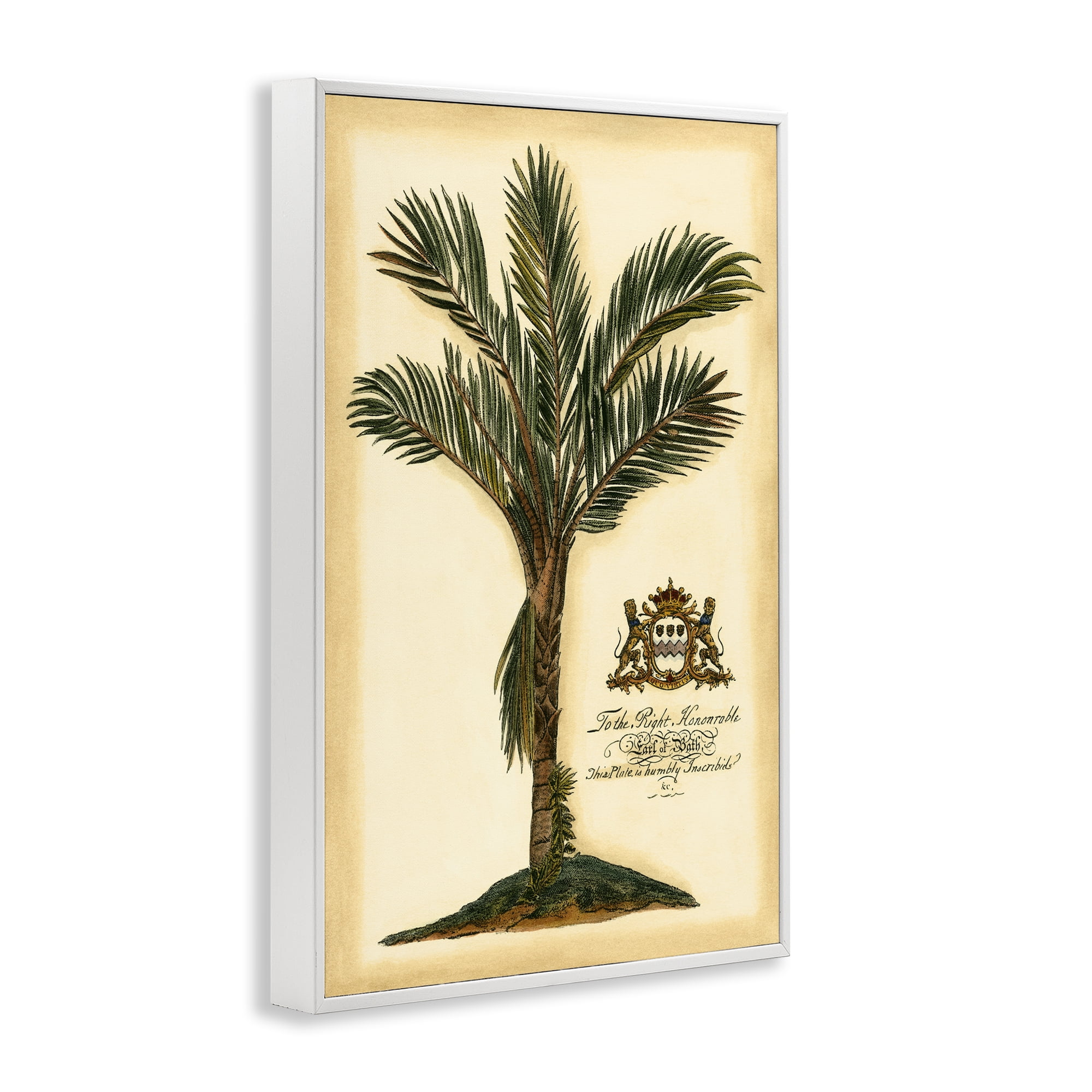 Stupell Industries Vintage Colonial Palm White Framed Giclee Art, design by Vision Studio