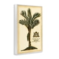 thumbnail image 2 of Stupell Industries Traditional Vintage Colonial Palm White Framed Giclee Art, 12 x 18, by Vision Studio, 2 of 8