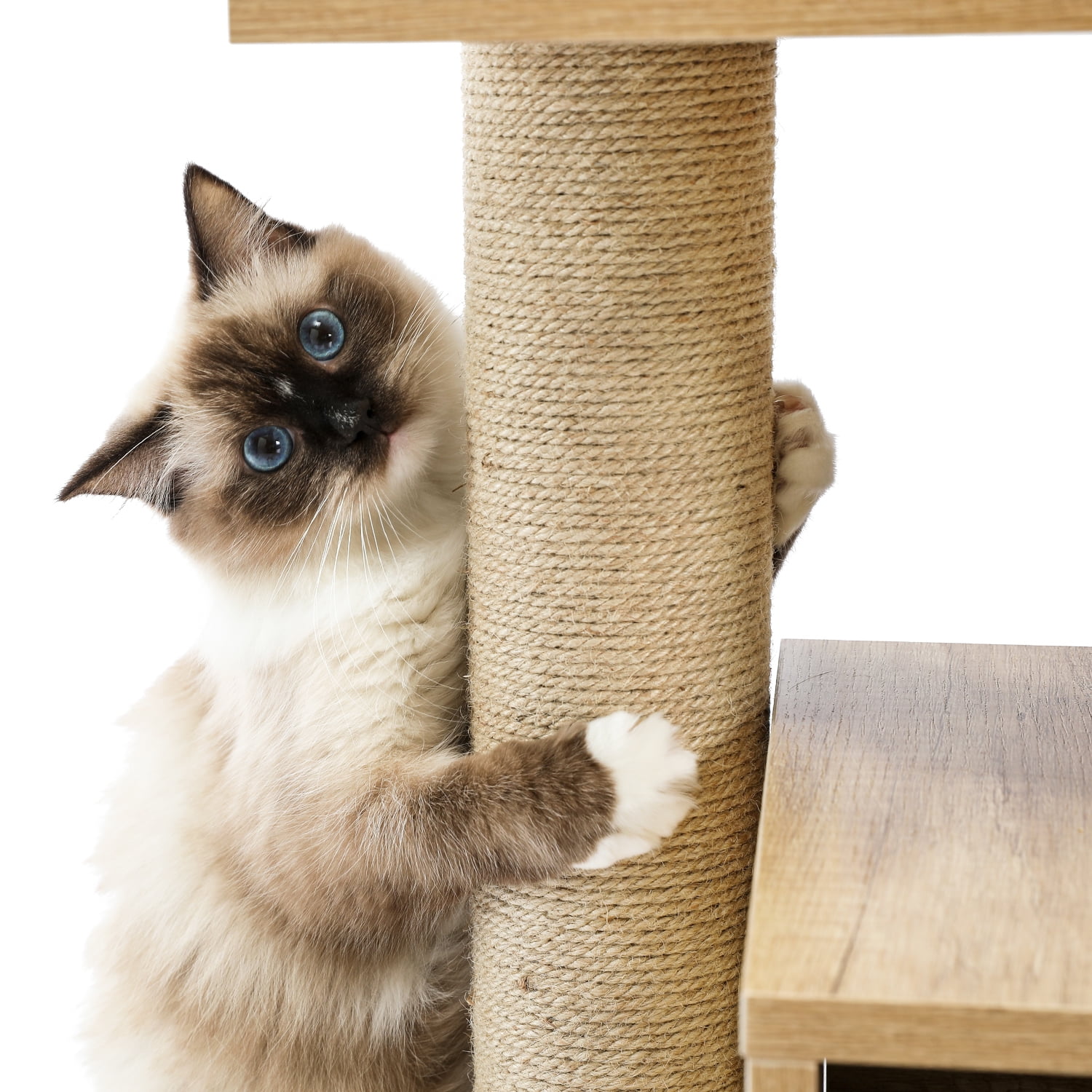 Pefilos 57" 4 Levels Platform Cat Tree House, Cat Condo for Large Cats with Fully Scratching Posts, Cat Tower for Indoor, Beige Pefilos 57" 4 Levels Platform Cat Tree House, Cat Condo for Large Cats with Fully Scratching Posts, Cat Tower for Indoor, Beige