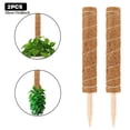 thumbnail image 2 of Poste de musgo de coco para soporte de plantas, base puntiaguda resistente de cáscara de coco con agujero, 50 cm, 2 unidades, 2 of 9