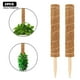 thumbnail image 2 of Poste de musgo de fibra de coco, soporte para plantas, cáscara de coco, tótem de fibra de coco con parte inferior puntiaguda resistente con agujero, 50cm, 2 uds., 2 of 5
