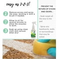 thumbnail image 2 of GONE FOR GOOD  - Professional Enzymatic Urine, Stain & Odor Remover, 2 of 10