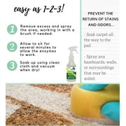 GONE FOR GOOD - Professional Enzymatic Urine, Stain & Odor Remover