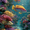 Coral, variant on Vibrant Jellyfish Tempered Glass Canvas Sea Life Nautical Hanging Wall Art Decor