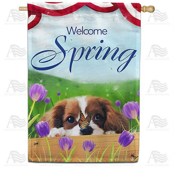 America Forever Spring Dog House Flag 28 x 40 inches Double Sided Welcome Spring, Flower, Bee, Butterfly - Seasonal Yard Lawn Outdoor Decorative Spring Puppy House Flag