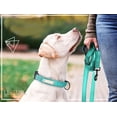 thumbnail image 2 of Correa para perro YOUALSO, de nailon reflectante, muy resistente, 1,5 m, color morado, 2 of 4