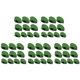 thumbnail image 1 of Artefacto Clip Fijación Trepadora Pothos Soporte Clip Crecimiento Plantas Clip Pared Autoadhesivo para Escalada en Pared Organizador Línea, 1 of 8