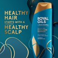 thumbnail image 2 of Head & Shoulders Royal Oils Sulfate-Free Scalp Care Anti-Dandruff Shampoo for Natural, Curly, and Coily Hair, with Coconut Oil and Apple Cider Vinegar, Paraben Free, 12.8 Fl Oz, 2 of 3