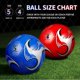 thumbnail image 3 of Balones de fútbol HyDren, tamaño oficial, tamaño 5, con bomba, 22 cm, 3 of 4