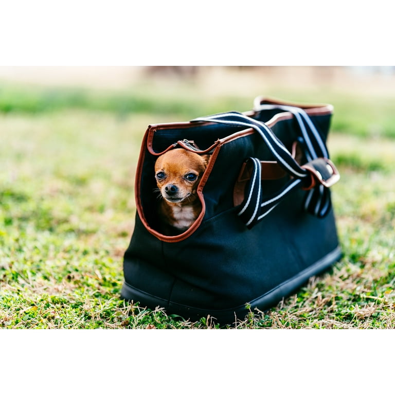Dog Bag