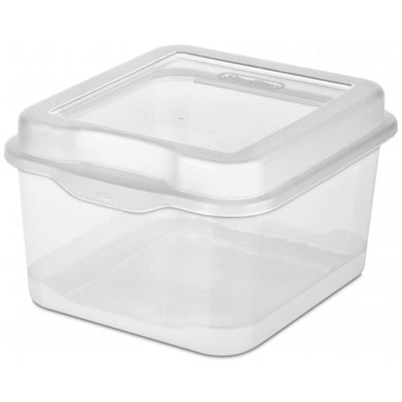 Sterilite Small Clear Flip Top Storage Box