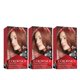thumbnail image 1 of Tinte de pelo Revlon Colorsilk 55 Marrón rojizo claro 130 ml x3, 1 of 1