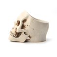 thumbnail image 4 of Open Skull Statue Resin Strong Stability Multifunctional Desktop Stora, 4 of 4