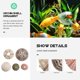 thumbnail image 4 of 5PCS Sea Urchin Shell Home Urchin Shell Ornament Fish Tank Aquarium Landscape, 4 of 4