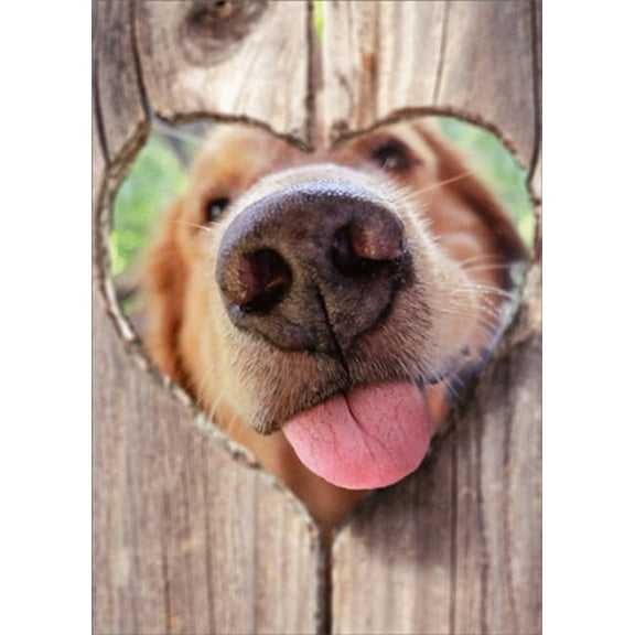 Avanti Press Dog Nose Fence Funny Valentine's Day Card