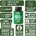 thumbnail image 3 of Ultra High Purity NAD Supplement For Women And Men. NAD+ Similar To Nicotinamide Riboside. Supports Energy, Brain Function, Healthy Aging & Longevity. Third Party Tested Non-GMO Supplements, 3 of 7