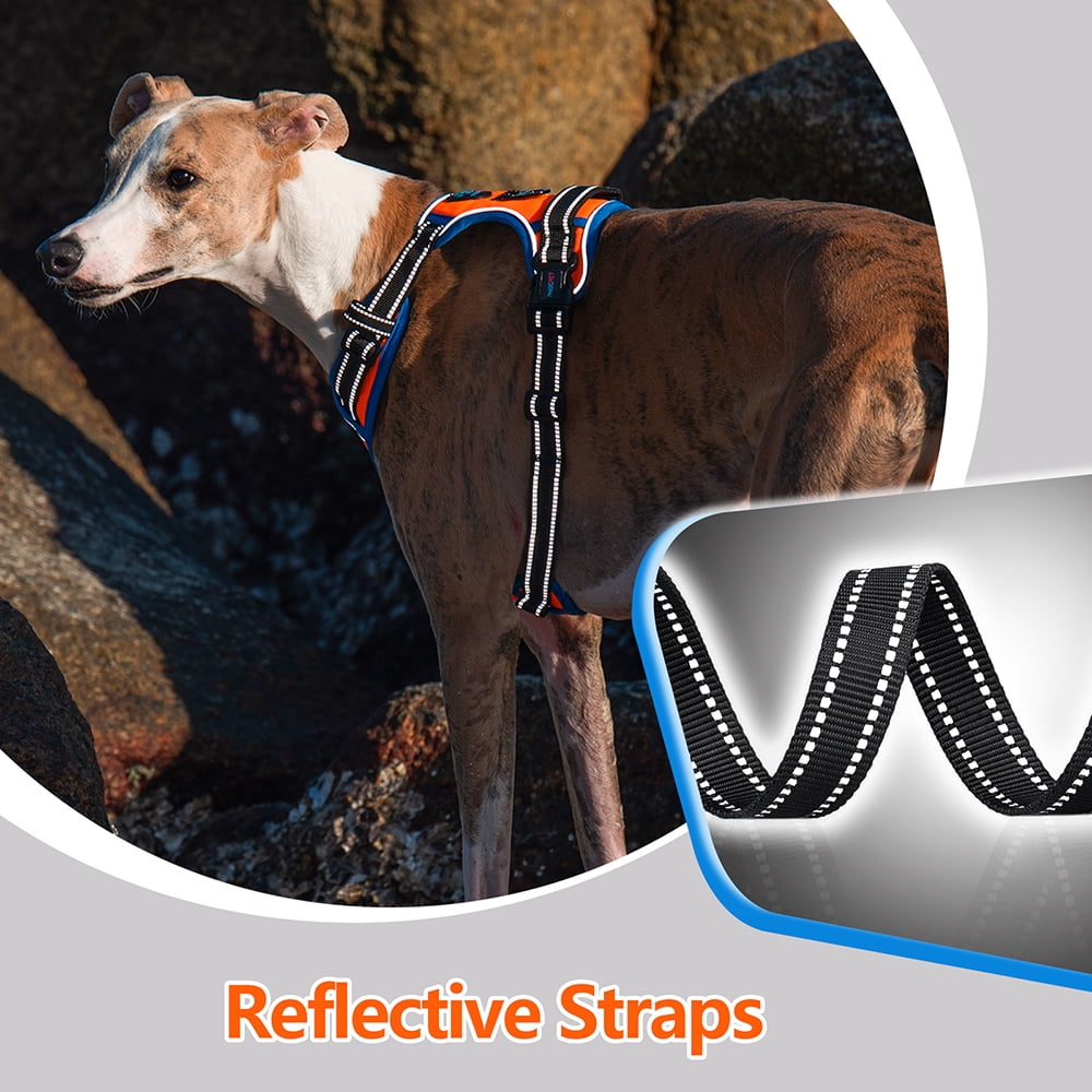 PHOEPET 2019 Upgraded No Pull Dog Harness, Reflective Adjustable Vest, with a Training Handle + 2 Metal Leash Hooks+ 3 Snap Buckles +4 Slide Buckles