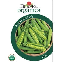 Burpee Burpeeana Early Pea Vegetable Seed