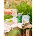 thumbnail image 3 of Fever-Tree Light Ginger Beer 4X250ml, Imported from Britain, 3 of 3