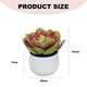 thumbnail image 2 of 2 uds suculentas de simulación en macetas pequeños adornos creativos flores y plantas de simulación, 2 of 5