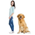 thumbnail image 4 of Advanced Graphics Golden Retriever Life-Size Cardboard Stand-Up, 45" x 30", 4 of 5