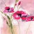 thumbnail image 3 of Zacher-Finet, Isabelle 12x12 Black Modern Framed Museum Art Print Titled - Pink Flower II, 3 of 5