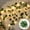 B02-5M 50LED, variant on 2/5M Silk Leaves Fake Creeper Green Leaf Ivy Vine LED String Lights for Home Wedding Hanging Garland Artificial Plants Decor