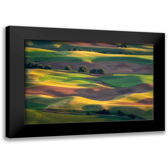 Macua, Gerald 14x11 Black Modern Framed Museum Art Print Titled - Colorful Palouse